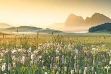 500比分足球-500比分足球，绿茵场上的数据革命与激情碰撞