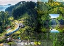 错过世界杯错的球星-错过世界杯的球星，遗憾与未来的展望