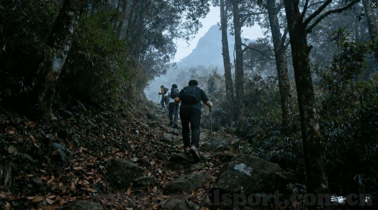 世界杯首发预测-世界杯首发预测，谁将站在绿茵场上的最前线
